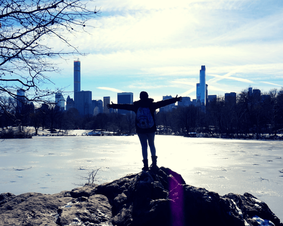 Buddy The Traveling Monkey Sisterhood Of The World Bloggers Award