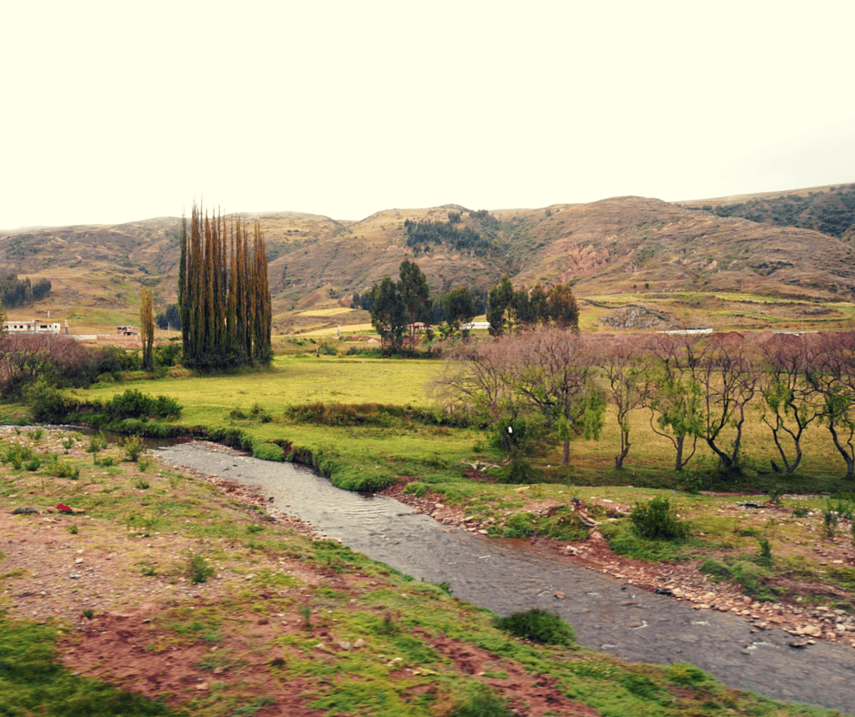 Views from the train heading to Machu Picchu