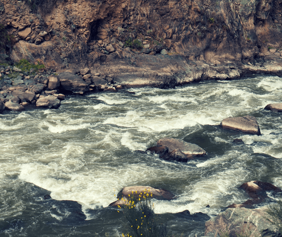 Views from the train heading to Machu Picchu