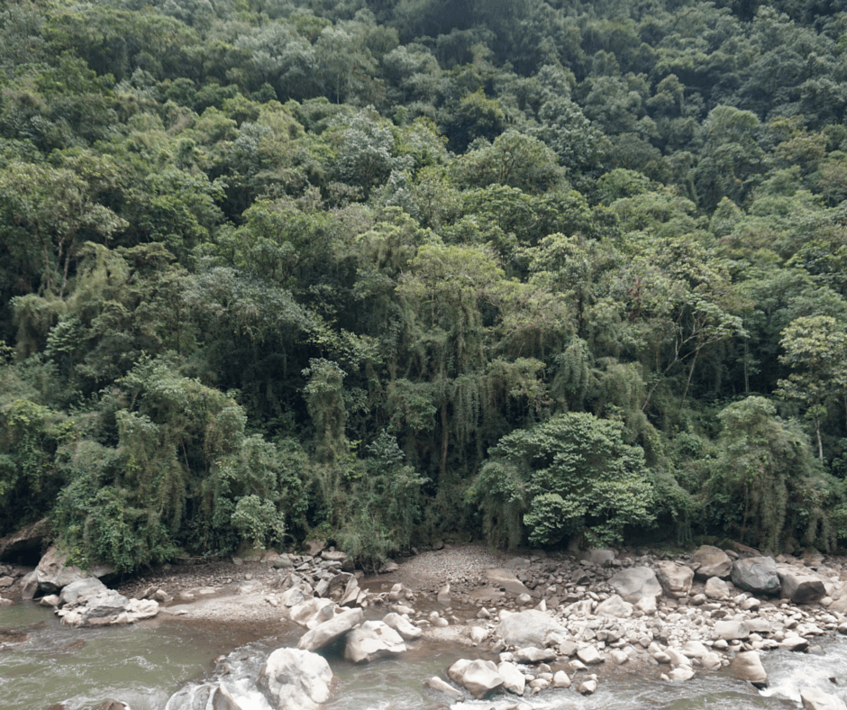 Views from the train heading to Machu Picchu