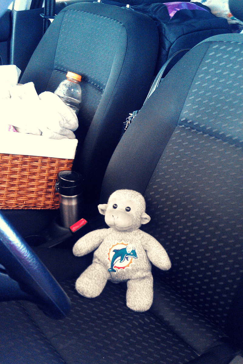 Buddy The Traveling Monkey Ode To Betsy