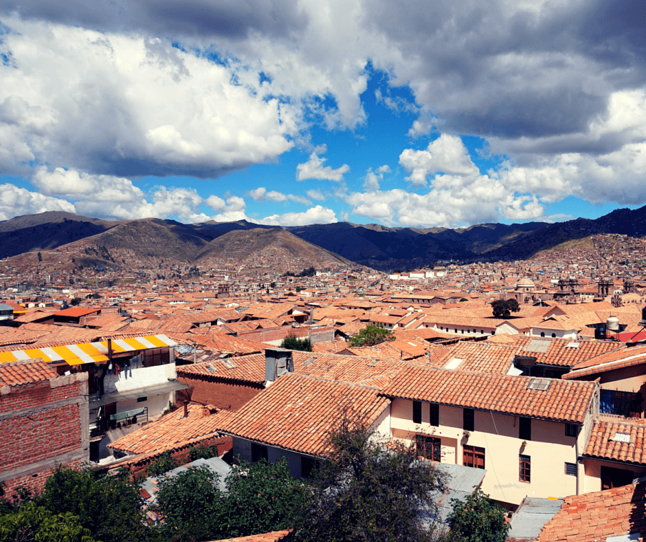 Buddy The Traveling Monkey Thomas Grill Garden Hostel Review