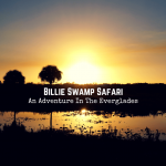 Billie Swamp Safari: An Adventure In The Everglades