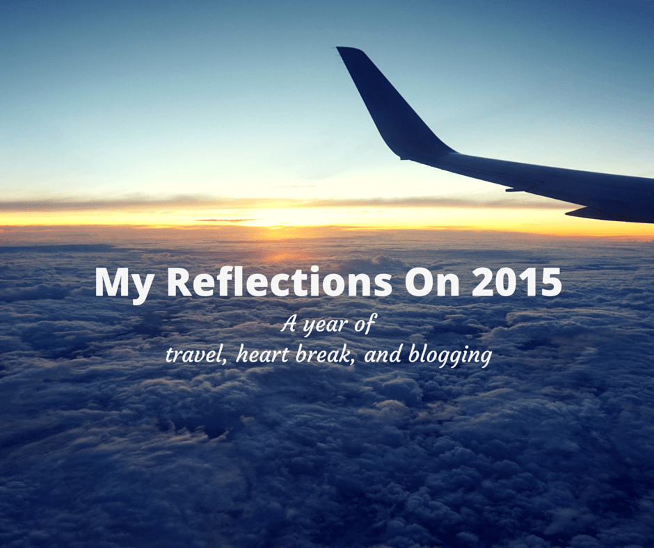 Buddy The Traveling Monkey My Reflections On 2015