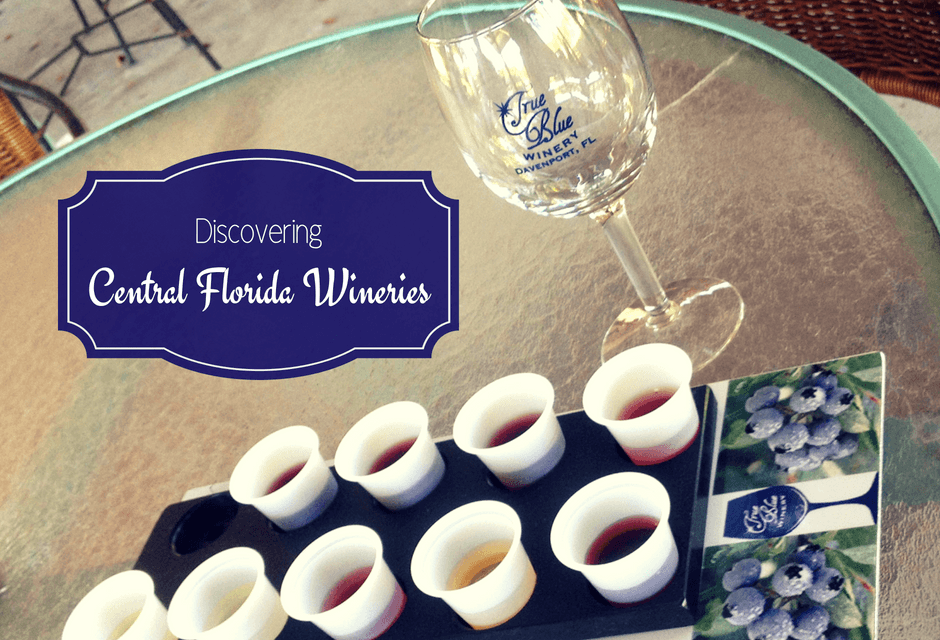 Discovering Central Florida Wineries