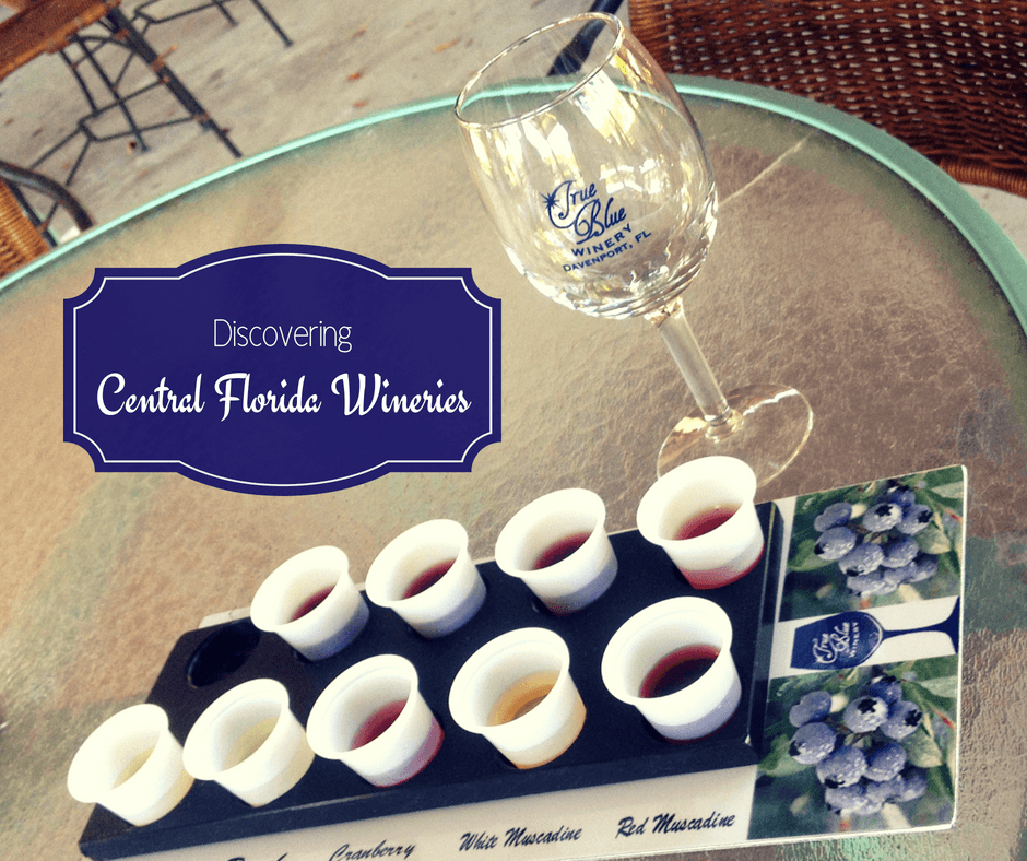 Visiting Central Florida wineries should be on everyone's list when exploring the area. Click to learn more about one of our favorites!