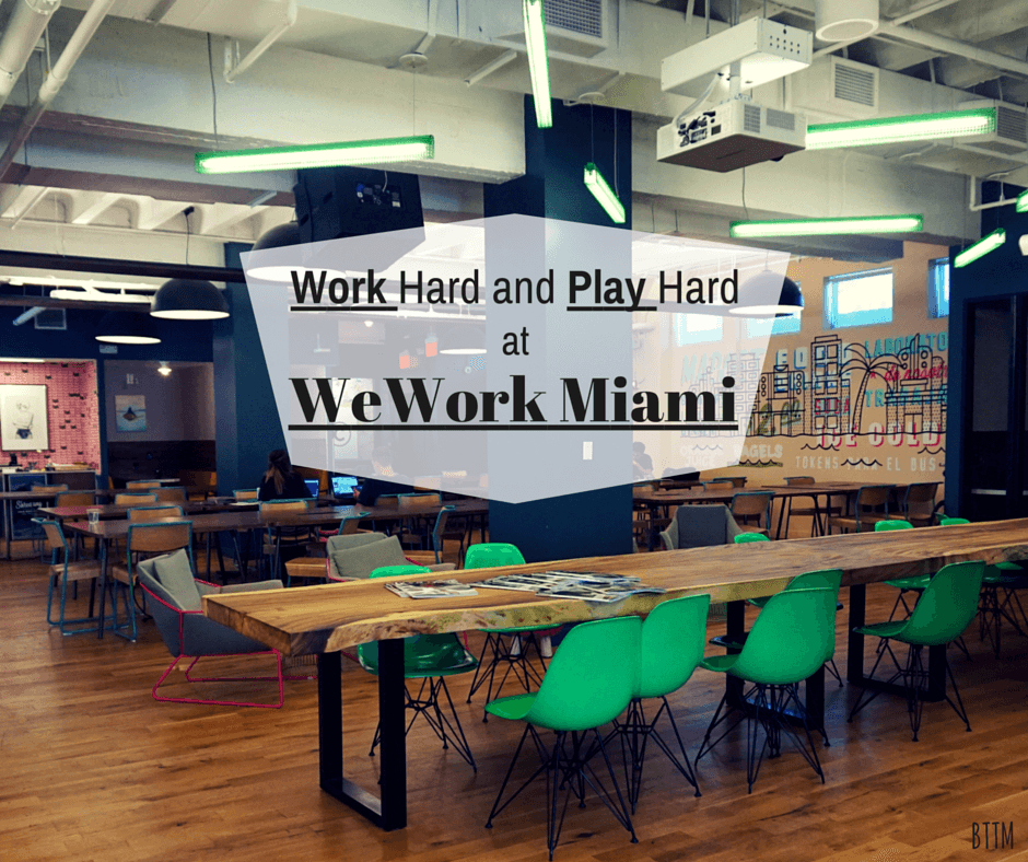 Buddy The Traveling Monkey WeWork Miami Beach