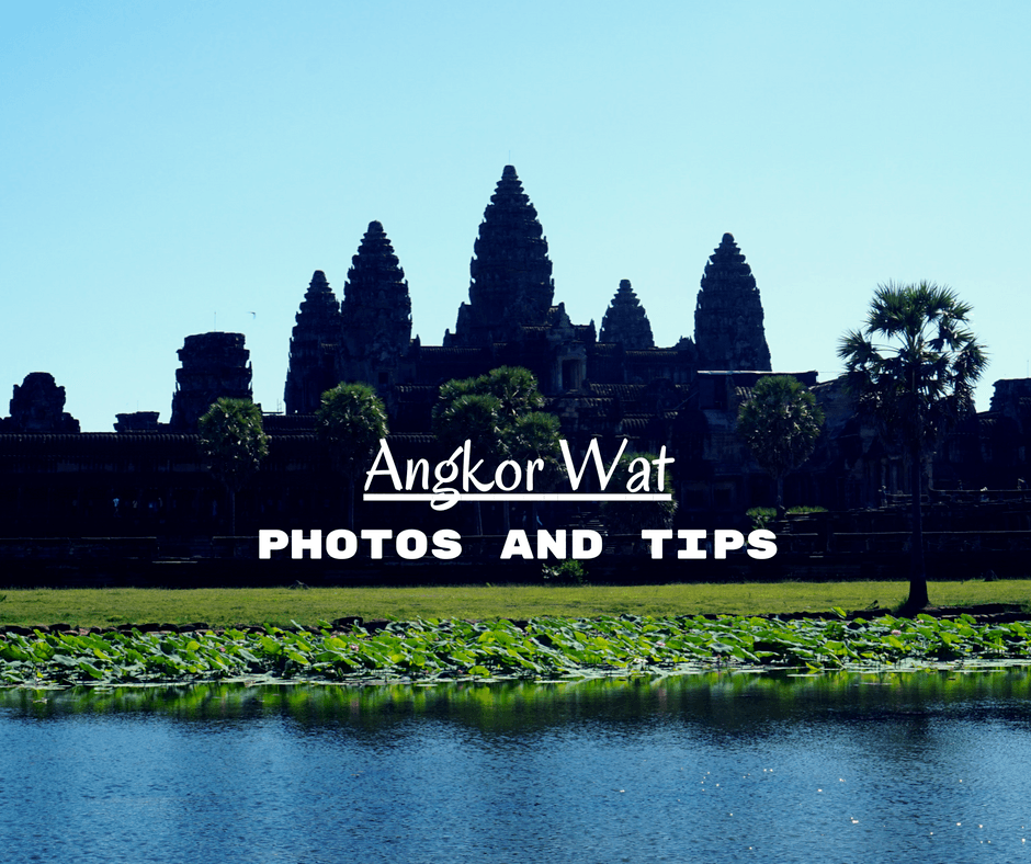 Buddy The Traveling Monkey Angkor Wat