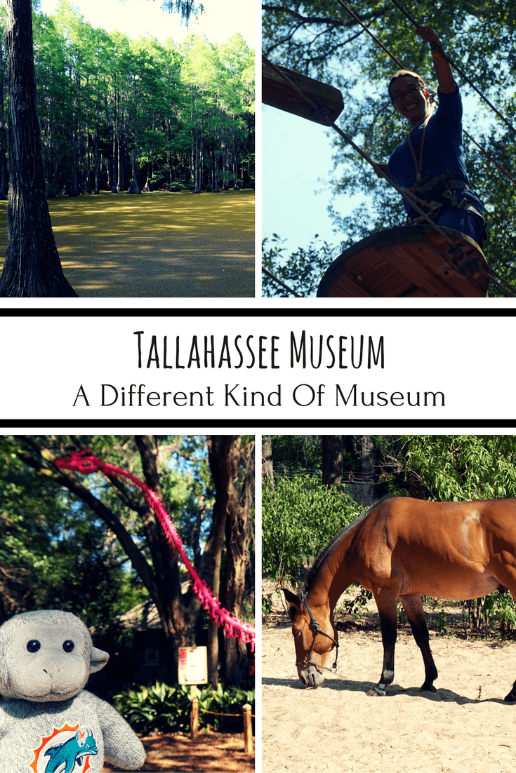 Florida's Tallahassee Museum is a different kind of museum! Visitors can zipline and learn about Northern Florida's natural environment.