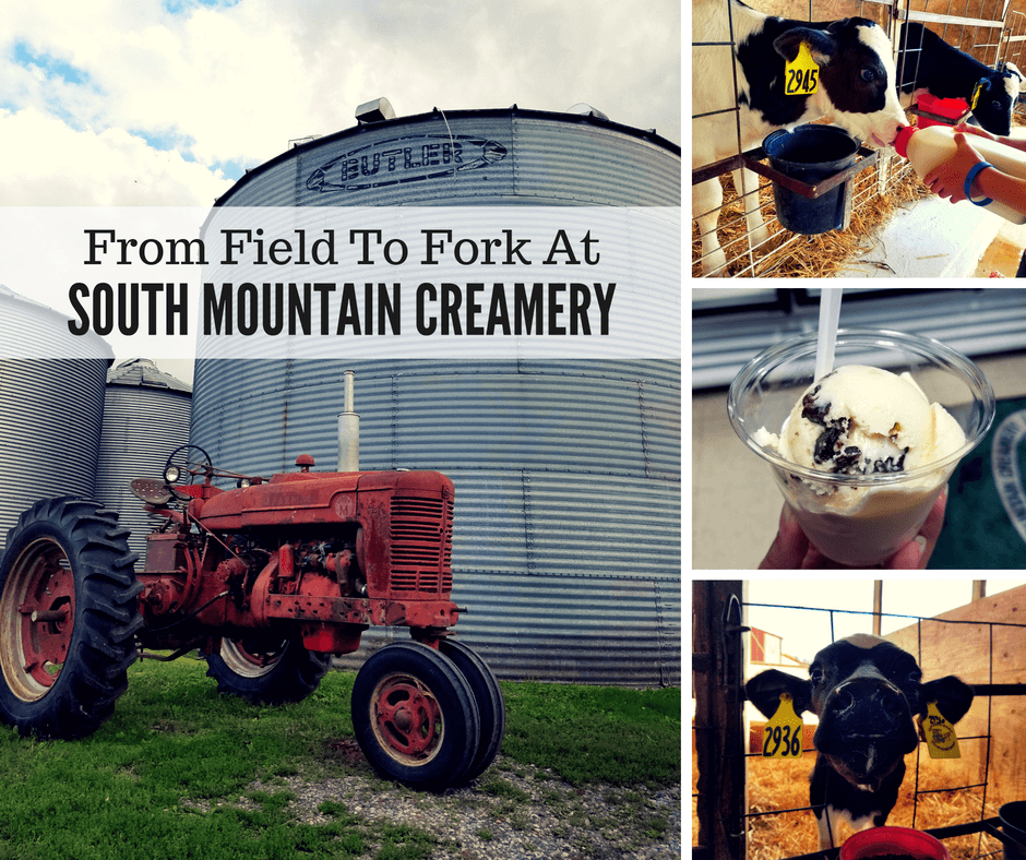 From Field To Fork At South Mountain Creamery
