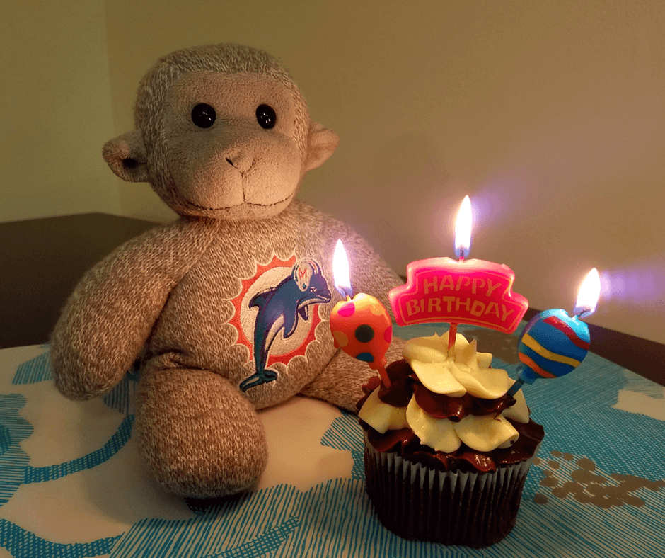 Buddy with his birthday cupcake