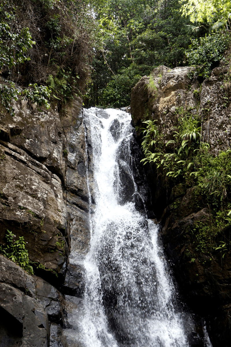 La Mina waterfall in el yunque