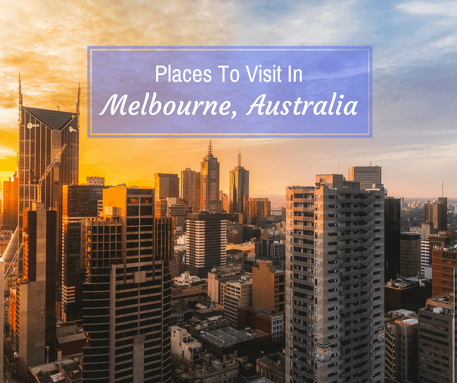 Places To Visit In Melbourne, Australia | Buddy The Traveling Monkey