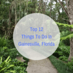 Best Restaurants In Gainesville, Florida | Buddy The Traveling Monkey