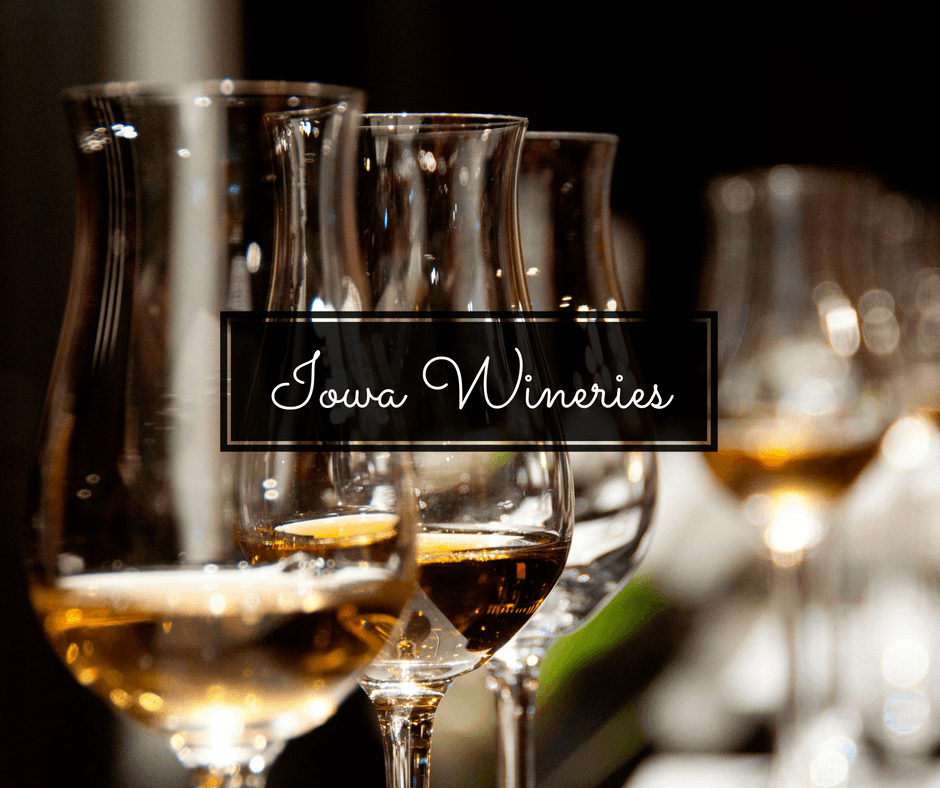 Iowa wineries are sure to surprise and delight you! There are over 100 wineries in Iowa, with everything from exotic fruit wines to traditional grape wines. No matter what city you're in, you'll be sure to find one nearby! Click this post to learn more about these delicious Iowa wineries.