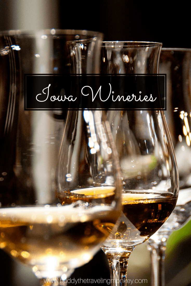 Iowa wineries are sure to surprise and delight you! There are over 100 wineries in Iowa, with everything from exotic fruit wines to traditional grape wines. No matter what city you're in, you'll be sure to find one nearby! Click this post to learn more about these delicious Iowa wineries.