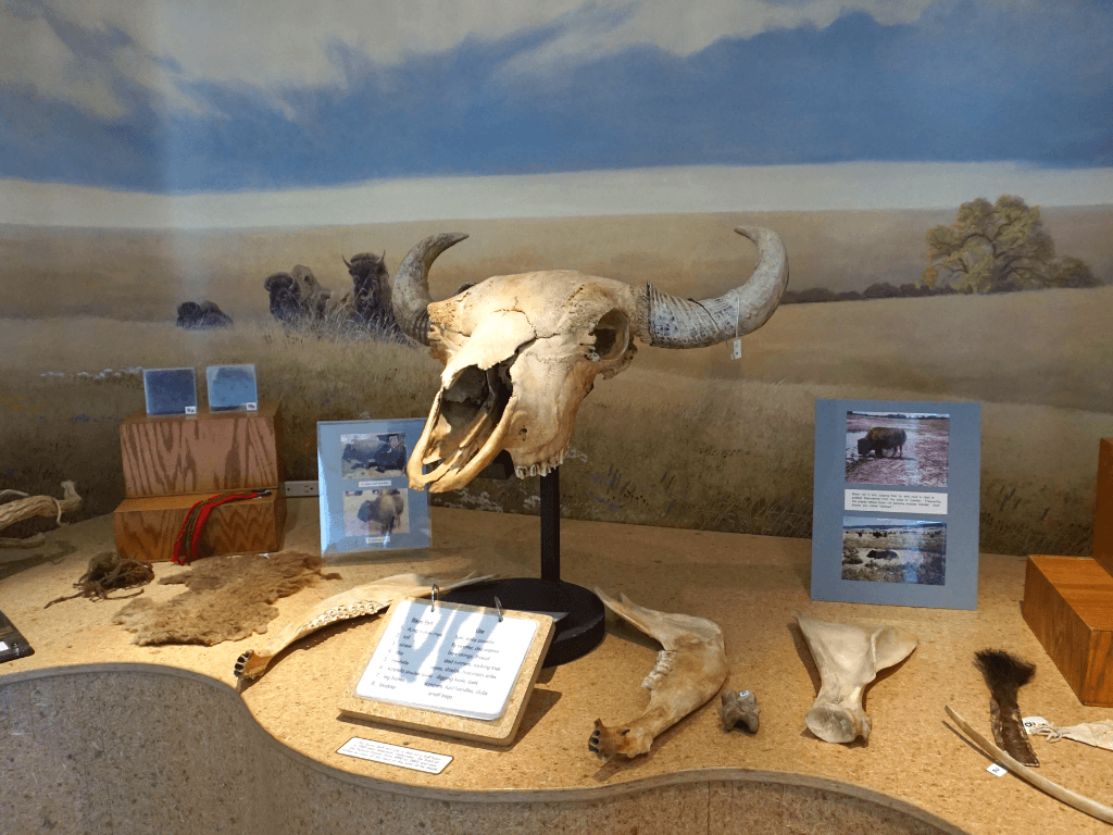 Learning about the natural history of Nebraska and the central great plains