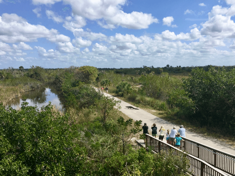 Ten Thousand Islands National Wildlife Refuge provides some of the best hiking in Florida