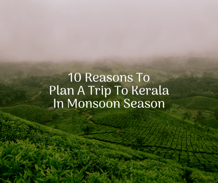 10 Reasons To Plan A Trip To Kerala In Monsoon Season