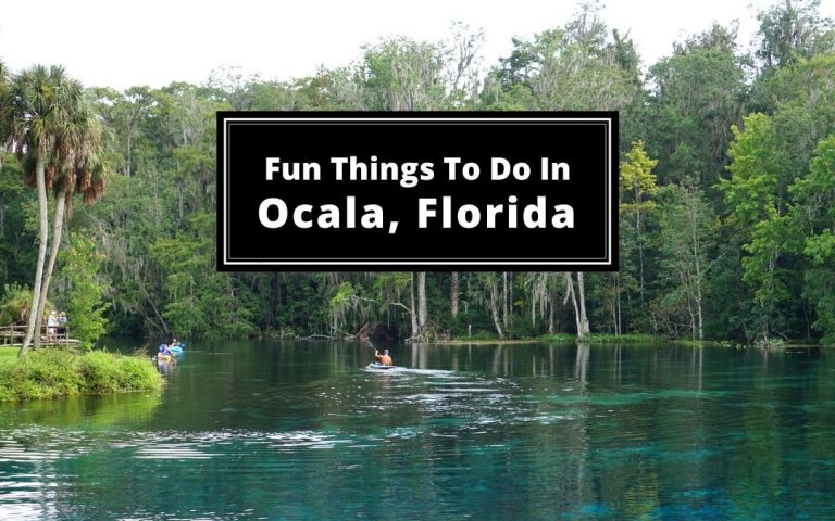 24+ Fun Things To Do In Ocala, Florida