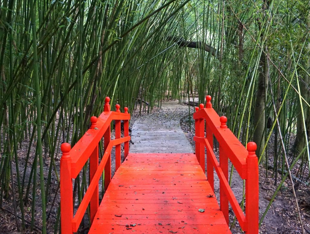 Kanapaha Botanical Gardens is one of the top things to do in Gainesville FL
