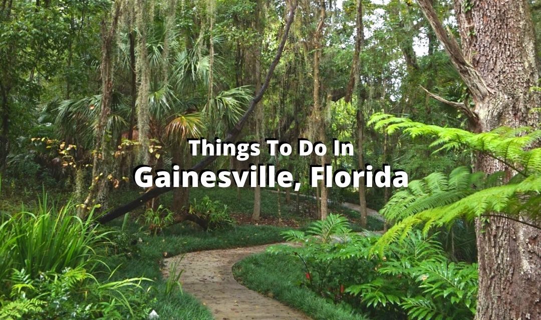 Top Things To Do In Gainesville, Florida