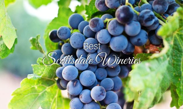Best Scottsdale Wineries