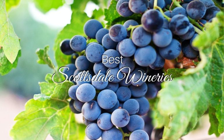 Best Scottsdale Wineries