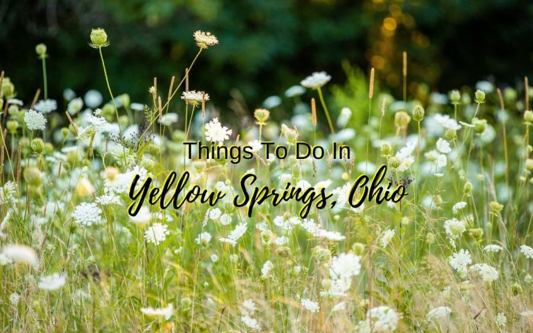 Things To Do In Yellow Springs, Ohio