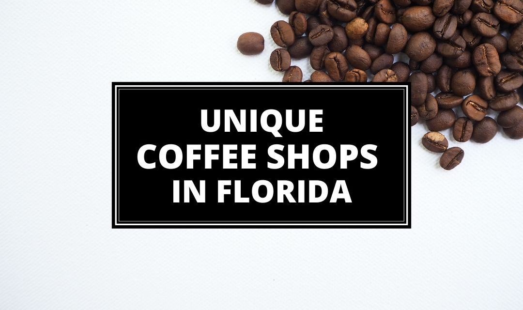 Unique Coffee Shops In Florida