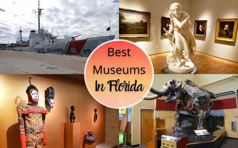 Best Museums In Florida