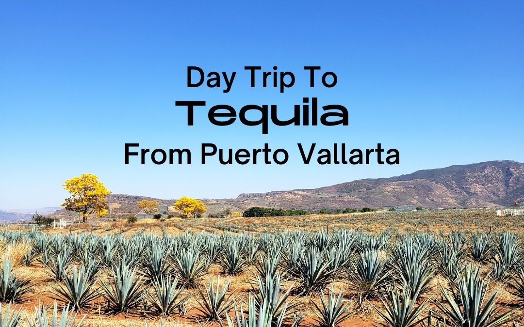 Day trip to Tequila from Puerto Vallarta! Explore the town, visit a distillery, learn about how tequila is made, and enjoy tasty samples.