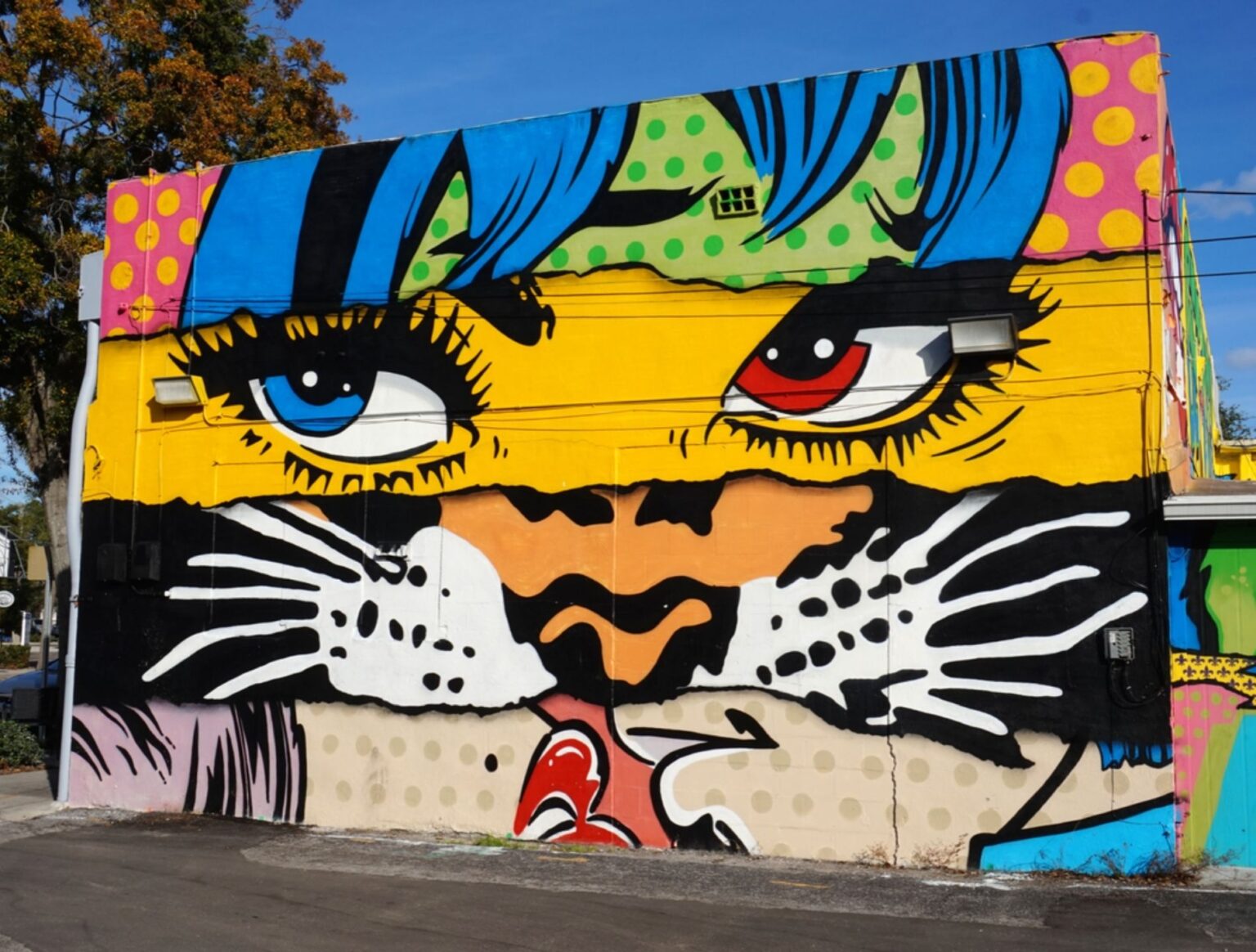 Street Art In St Petersburg, Florida Buddy The Traveling Monkey