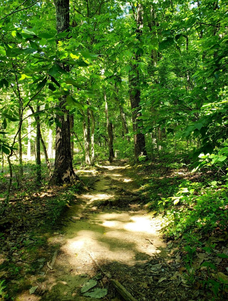 Stone Cuts Trail is one of the best Huntsville trails