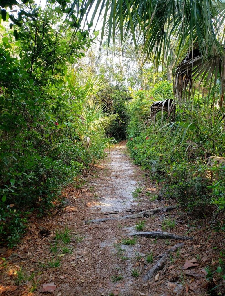 Cedar Key Railroad Trestle Nature Trail