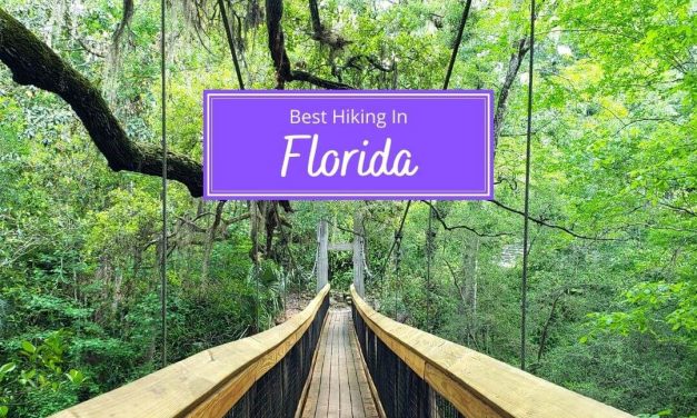 Best Hiking In Florida