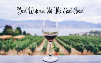 Best Wineries On The East Coast