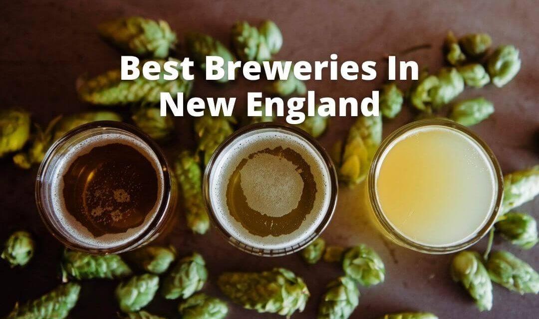 Best Breweries In New England Buddy The Traveling Monkey
