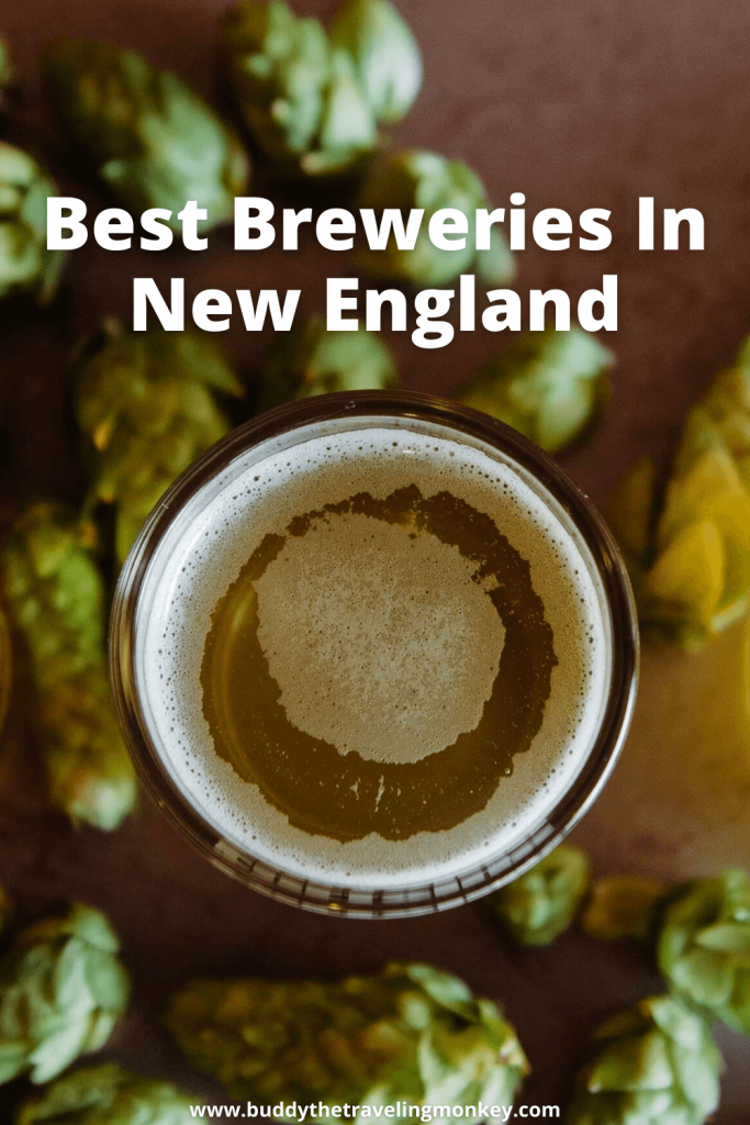 The best breweries in New England! With bold flavors made from the finest ingredients, you won't be able to resist these smooth brews.