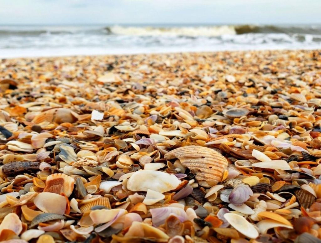 Mickler's Beach is one of the best beaches in Florida for shelling
