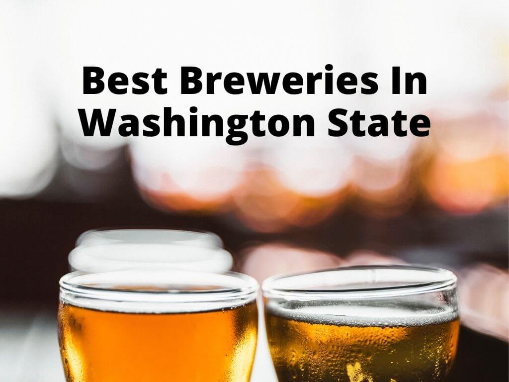 Best Breweries In Washington State Buddy The Traveling Monkey
