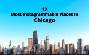 10 Most Instagrammable Places In Chicago - Buddy The Traveling Monkey