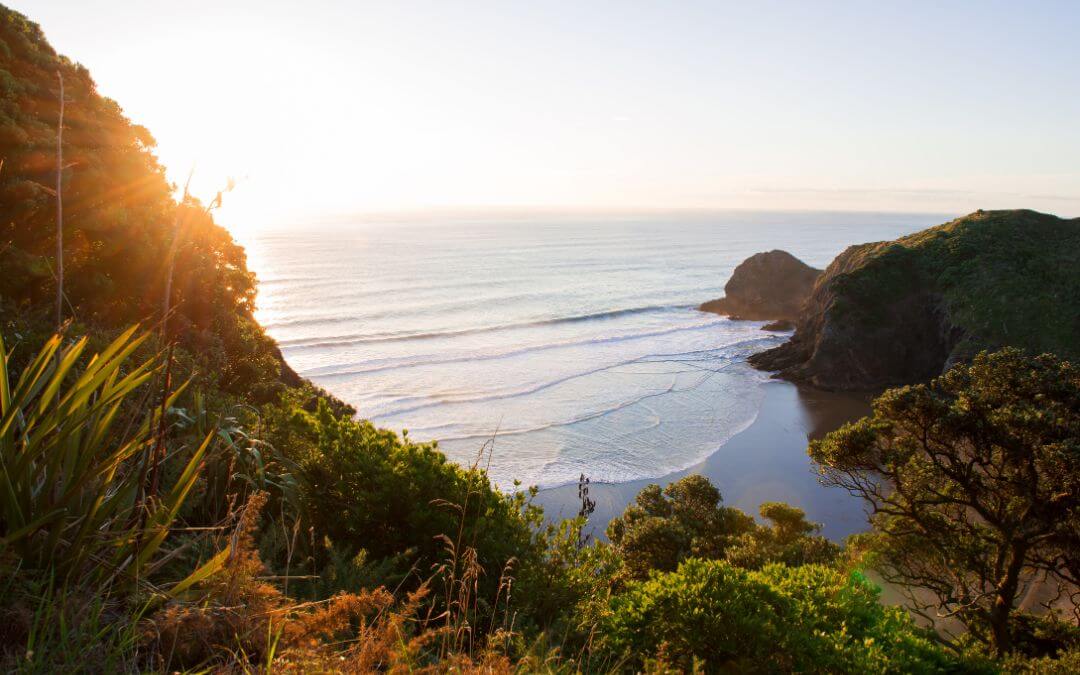 Top reasons to visit New Zealand! From exciting adventures to fluffy sheep, New Zealand has something for everyone.