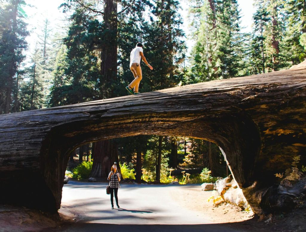 Lodgepole Campground