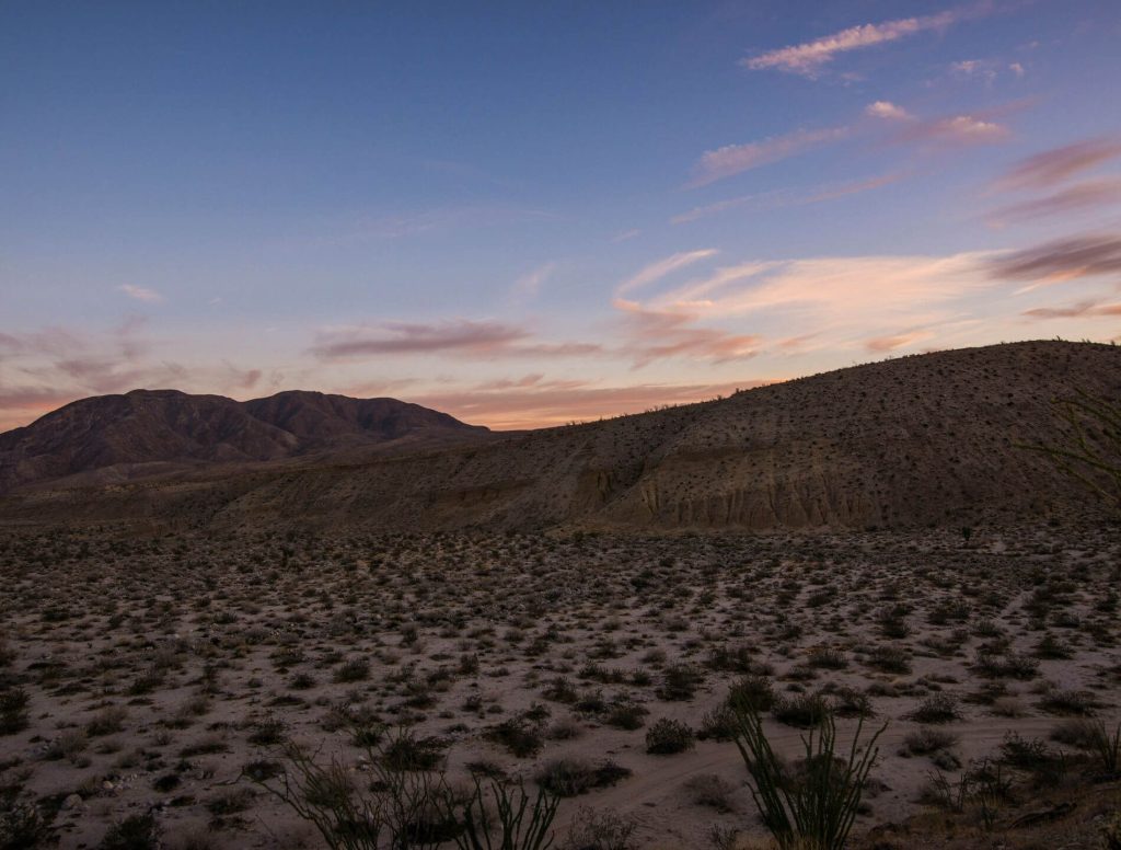 Borrego Palm Canyon Campground