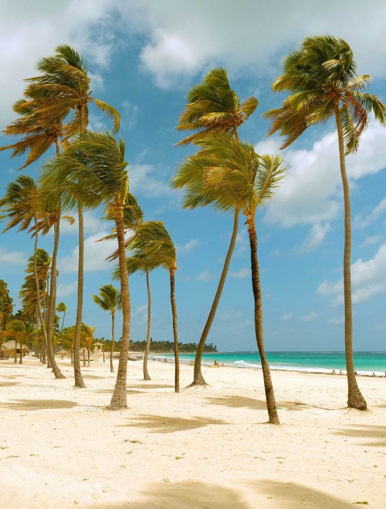 Playa Blanca In Punta Cana