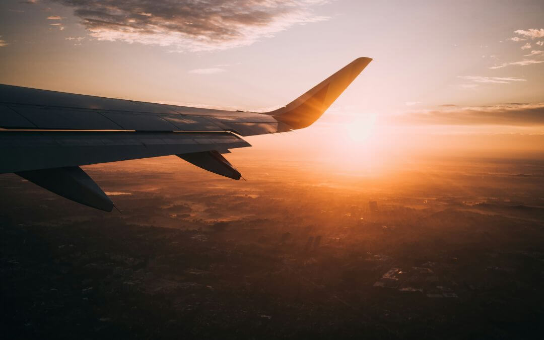 Online distributors are a great option for getting all of your travel essentials. Read on to see why you should consider them.